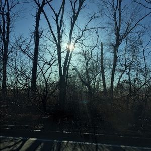 Meet your Posher, Angelina